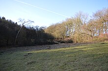 Alpine Meadow, Berkhamsted 3.JPG