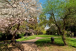 Alvin Larkins Park, Seattle, March 2013.jpg