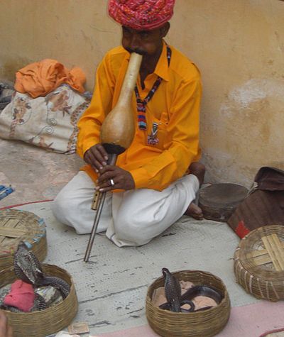 Snake charmer playing pungi