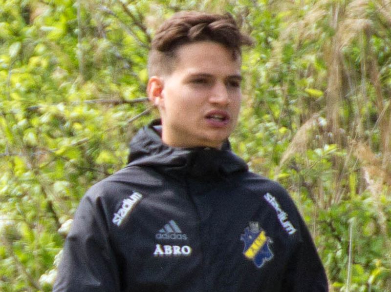 File:Amin Affane (2016, 1, cropped).jpg