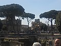 Ancient Rome Ruins (5987180444).jpg