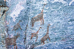 Rock art depicting giraffes and other animals