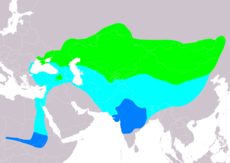 Rozšíření jeřába panenského (světle zeleně – hnízdiště, světle modře – migrace, modře – zimoviště)