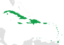 Antiļu salas