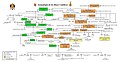 Cuadro genealógico de los Reyes Católicos