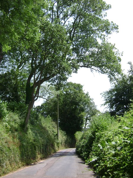 File:Ashcombe Road approaches Dawlish - geograph.org.uk - 1382438.jpg