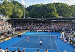 Miniatura para Torneo WTA de Auckland