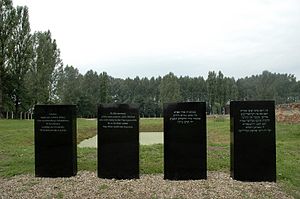 Kz Auschwitz-Birkenau: Lagergliederung, Besondere Lagerbereiche, Entstehung