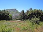 Azalea glen trail cuyamaca.jpg