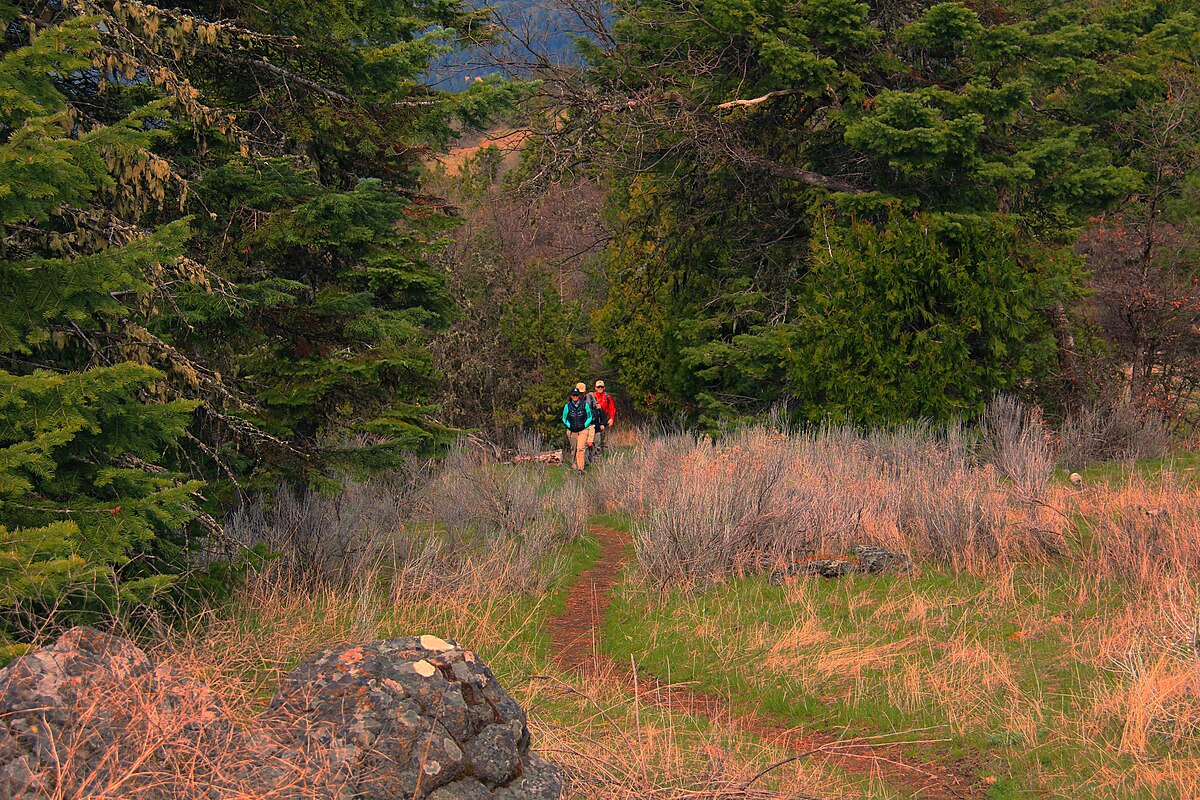 Pacific Crest Trail. Орегонская тропа. Орегонская тропа карта.