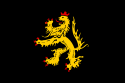 Elettorato del Palatinato del Reno – Bandiera
