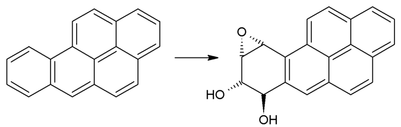 File:Benzo-a-pyrene oxidation.png