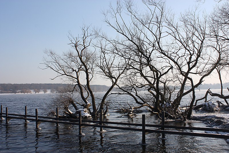 File:Berlin-Wannsee, am Großen Wannsee-3.JPG