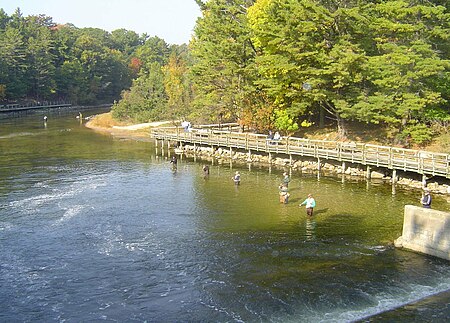 Big Sable River fishing2