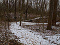 Billy Goat C Trail, near the midpoint.