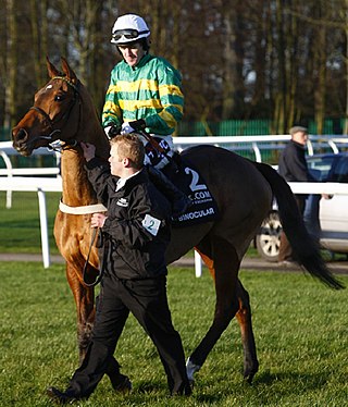 <span class="mw-page-title-main">Binocular (horse)</span> French-bred Thoroughbred racehorse