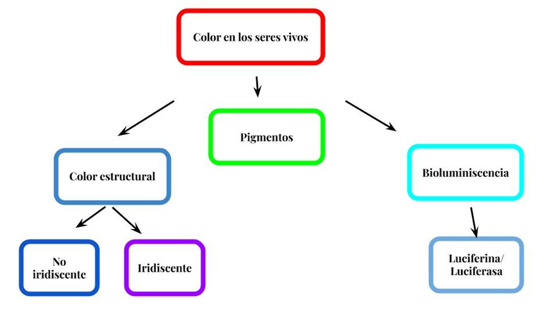 Color en los seres vivos