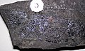 Bituminous coal (Upper Freeport Coal, Middle Pennsylvanian; Diamond Coal Mine, Linton, Ohio, USA) 7.jpg