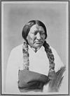 Portrait of Black Bull-Ta-Tan-Kah-Sa-Pah Brule Sioux, 1872 by Alexander Gardner