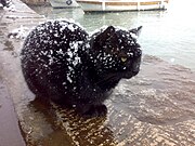 chat noir pelotonné alors que tombe la neige