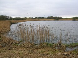 Blae Loch, východní břeh při pohledu na jih. JPG