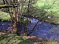 Thumbnail for File:Bonny Water and Red Burn confluence - geograph.org.uk - 2351521.jpg