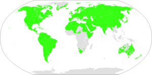Mapa. Kontury lądów świata. Zielone obszary