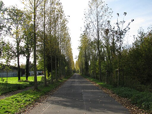 Brandenburger Straße, 1, Lippstadt, Landkreis Soest