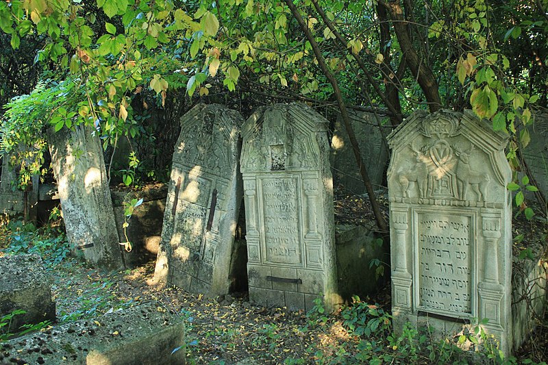 File:Briceni Jewish Cemetery 1.JPG