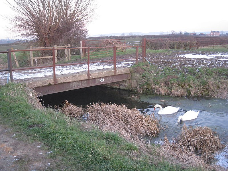 File:Bridge over the canal - geograph.org.uk - 2795036.jpg