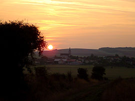 Brion sunset small.jpg