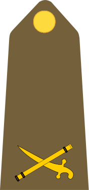 File:British&Commonwealth-Army-BGen(1920-1922).svg