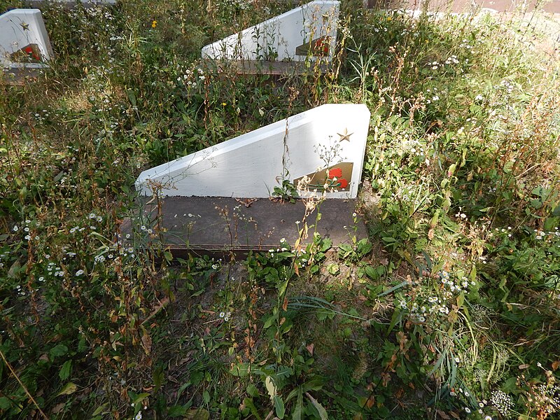 File:Brotherhood grave of Soviet soldiers in Liubotyn (163 burieds) (6).jpg