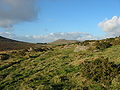 Brown Willy, Bodmin Moor