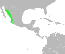 Bufo mazatlanensis distribution.svg