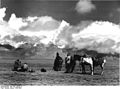 Bundesarchiv Bild 135-S-09-02-17, Tibetexpedition, Filmen des Chomolhari.jpg