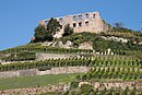 Rovine del castello di Staufen 2011.jpg