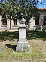 Bustul lui Gh. Rarincescu, Focșani.jpg