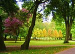 Bawdlun am Parc Bute