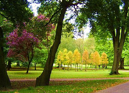 How to get to Bute Park with public transport- About the place