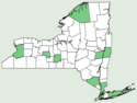 Carduus nutans NY-dist-map.png
