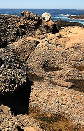 Sedimentary rock - Wikipedia