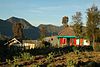 Colourful Tenggerese farm house, Cemoro Lawang