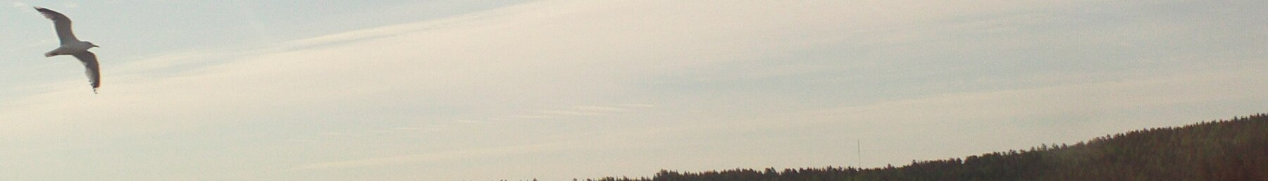 Banner van Sentraal -Finland Flying bird.jpg