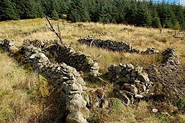 Chambered Cairn - geograph.org.uk - 998336.jpg