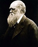 Julia Margaret Cameron: Semeya de Charles Darwin (1868)