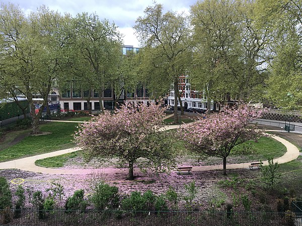 Charterhouse Square garden