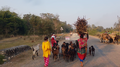 Chaudhary-Rural Life of Nepal