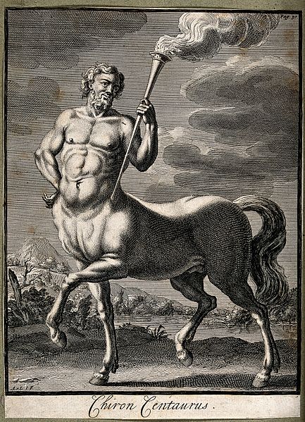 File:Chiron. Etching. Wellcome V0035833.jpg