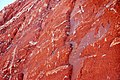 Chugwater Formation (Upper Triassic; Route 28 roadcut at Red Canyon, Wind River Range, Wyoming, USA) 2.jpg